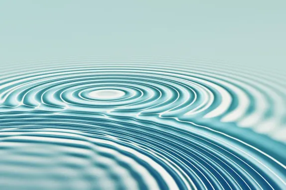 Bit4win Kasino Sokongan